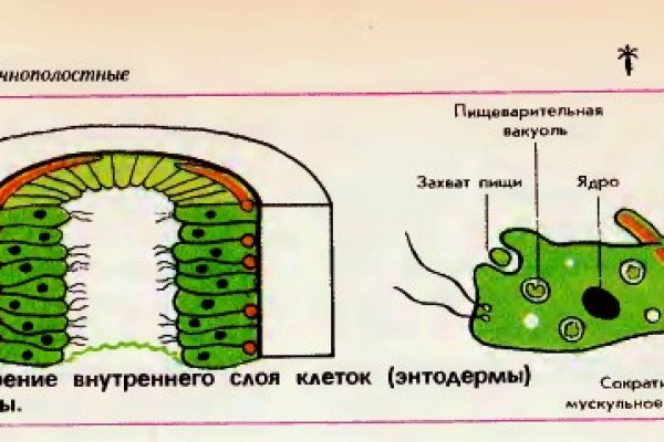 Кракен ссылка что это