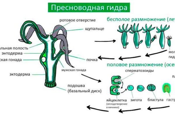 Кракен магазин тор