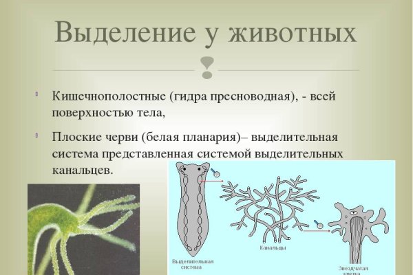 Как отличить оригинальный сайт кракена