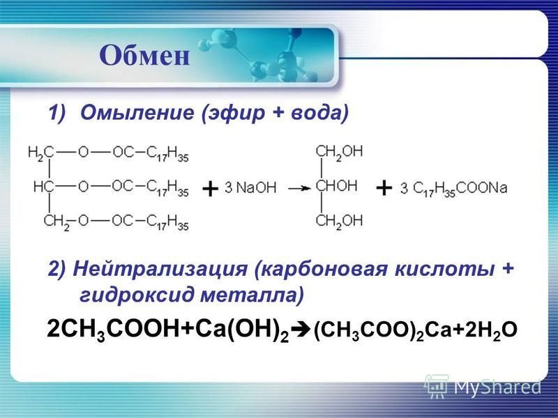 Kraken onion зеркала 2024